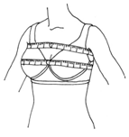 Bust Measurement